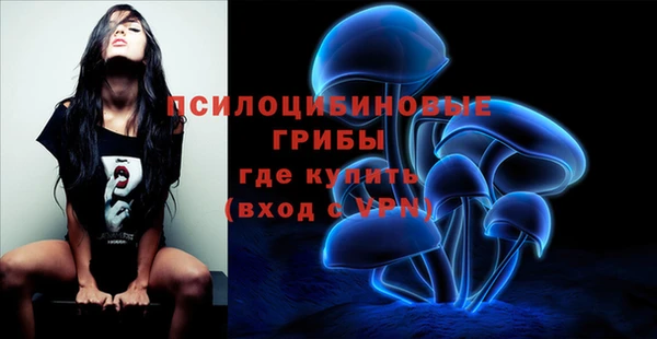 ешки Алзамай