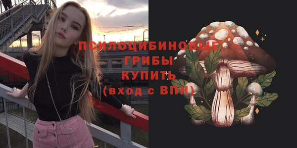 ешки Алзамай