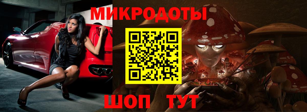 Галлюциногенные грибы Psilocybe Новоуральск