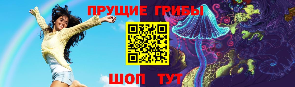 Галлюциногенные грибы Psilocybine cubensis  Вход с VPN  сколько стоит  Новоуральск 